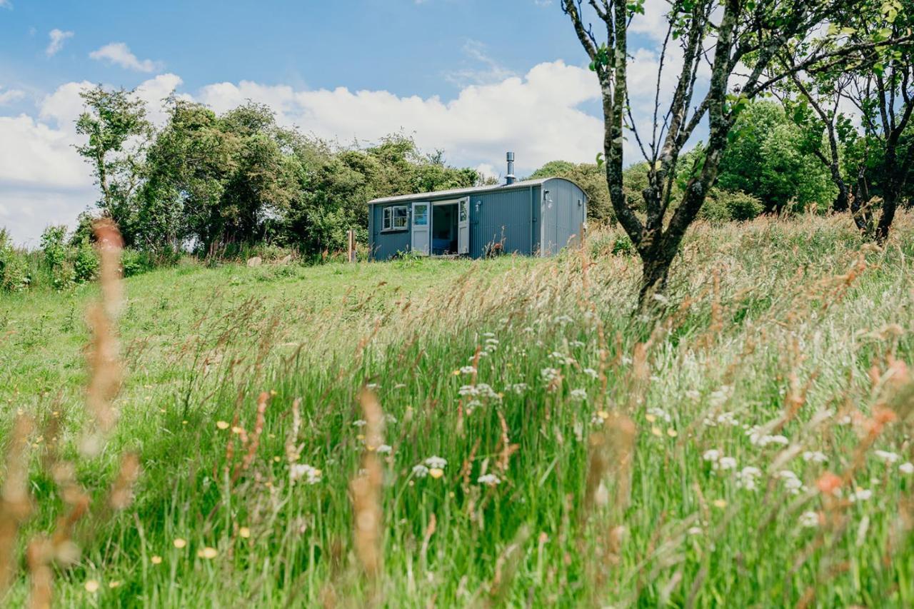 Blatchford Briar - Award Winning Private Shephards Huts With Their Own Secluded Hot Tubs Milton Abbot Bagian luar foto