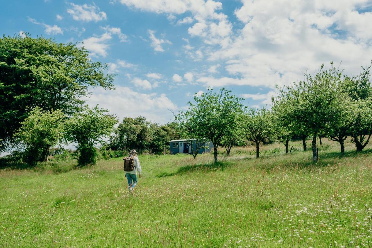 Blatchford Briar - Award Winning Private Shephards Huts With Their Own Secluded Hot Tubs Milton Abbot Bagian luar foto