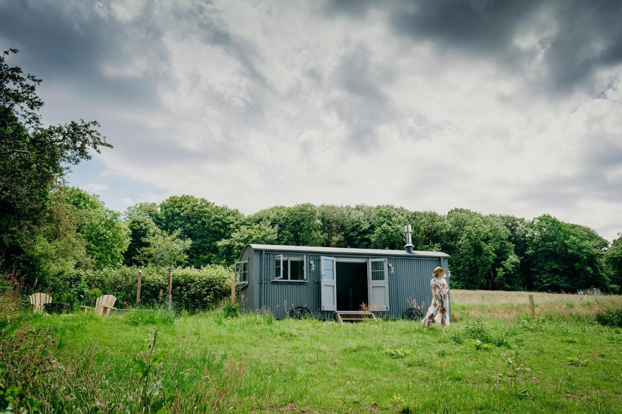 Blatchford Briar - Award Winning Private Shephards Huts With Their Own Secluded Hot Tubs Milton Abbot Bagian luar foto